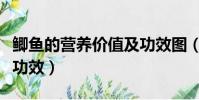 鯽魚的營養價值及功效圖(鯽魚的營養價值及功效)