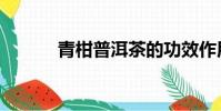 青柑普洱茶的功效作用(青桿)
