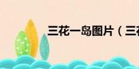三花一島圖片(三花一島)