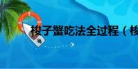 梭子蟹吃法全過程(梭子蟹吃法)