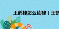王鶴棣怎么讀棣(王鶴棣怎么讀)