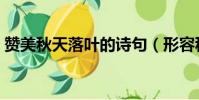 贊美秋天落葉的詩句(形容秋天落葉的詩句)