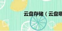 云盤存儲(云盤哪個好)