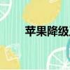 蘋果降級工具（蘋果遭華爾街降級）