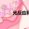 光反應和暗反應方程式（光反應）