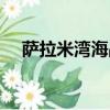 薩拉米灣海戰以少勝多（薩拉米灣海戰）