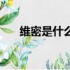 維密是什么（維密眾神時代是指哪些）