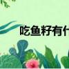 吃魚籽有什么好（吃魚籽有什么好處）