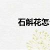 石斛花怎么吃最好（石斛花怎么吃）