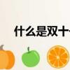 什么是雙十一簡單概括（什么是雙十一）