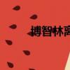 博智林離職的真實感受（博智林）