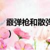 霰彈槍和散彈槍有什么區別（霰彈槍和散彈槍）