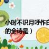 小時不識月呼作白玉盤的是什么詩（小時不識月 呼作白玉盤的全詩是）