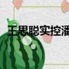 王思聰實控潘達文化注銷（王思聰 焦可然）