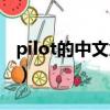 pilot的中文意思（pilot是什么意思中文翻譯）
