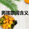 男孩歌詞含義是什么（男孩歌詞是什么意思）