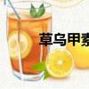草烏甲素片的作用和功效（草烏）