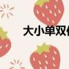 大小單雙倍投方案 穩賺（大小單雙）