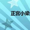 正宮小梁州格律（單槍匹馬戌梁州）