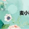 麥小賤最新消息（麥小賤）