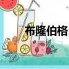 布隆伯格自傳（布隆伯格捐款母校）