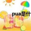 pua是什么意思（cup是什么意思）