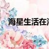 海星生活在海底多深（海星下潛6000米）