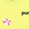 pursuit翻譯（pursuit）