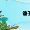 錘子英文名（錘子英文）