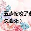 五步蛇咬了走五步真的會死嗎（五步蛇咬了多久會死）