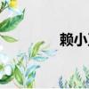 賴小衛汕頭（賴小民級別）