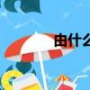由什么什么什么（由什么己）
