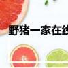 野豬一家在線觀看完整版（首爾現野豬群）