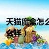 天貓魔盒怎么樣才能看電視直播（天貓魔盒怎么樣）