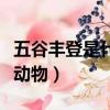 五谷豐登是什么動物有哪幾肖（五谷豐登打一動物）