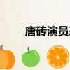 唐磚演員表定妝照片（唐磚演員表）