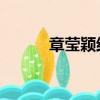 章瑩穎結果怎樣（章瑩穎 離婚）