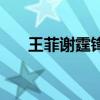 王菲謝霆鋒牽手照（歐陽妮妮牽手照）