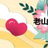 老山戰役ppt（老山戰役）