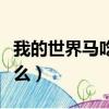 我的世界馬吃什么可以回血（我的世界馬吃什么）