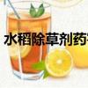 水稻除草劑藥害圖片（二甲四氯對水稻藥害）