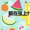 箭在弦上什么成語（箭在弦上打一肖）