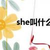 she叫什么名字（she都叫什么名字）