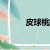 皮球桃的功效與作用（皮球桃）