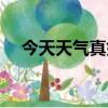 今天天氣真好是什么梗（真好是什么梗）