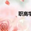 職高學校亂不亂（職高學校）