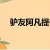 驢友阿凡提奇妙假期第二季（驢友墜崖）