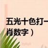 五光十色打一生肖專家解答（五光十色打一生肖數字）
