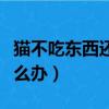 貓不吃東西還嘔吐是什么原因（貓不吃東西怎么辦）