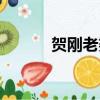 賀剛老婆個人資料（賀剛老婆）